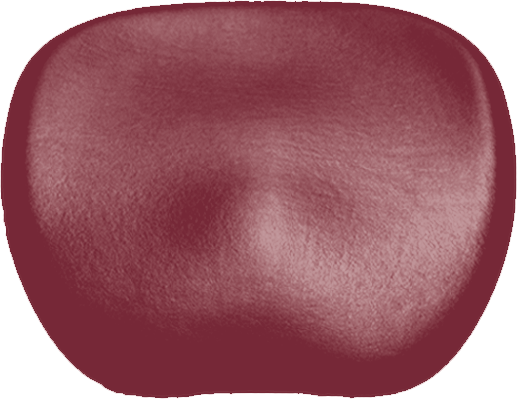 Sitzpolster KaVo Physio 5007 Arbeitsstuhl Ultradent bordeaux 1604T